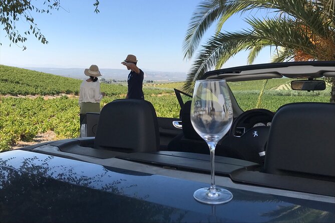 Full day in Cordoba between Vineyards and Olive Trees with a Convertible Car - Four wines at Lagar Cañada Navarro