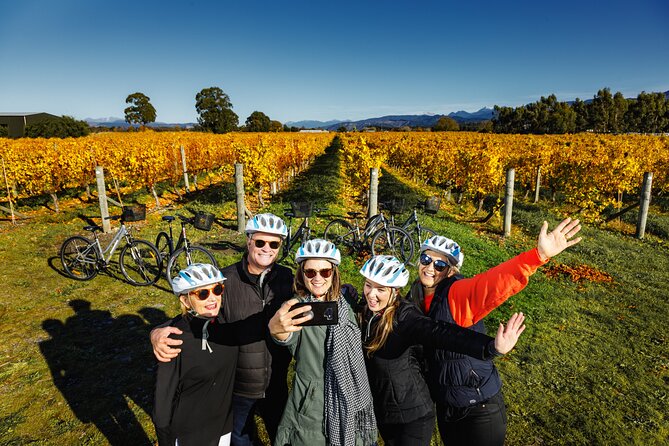 Full-Day Marlborough Wine Region Bike Hire - Why Marlborough works so well by bicycle