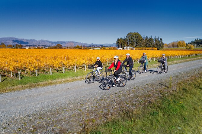 Full-Day Marlborough Wine Region Bike Hire - Planning lunch among the vineyards
