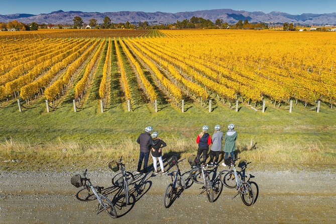 Full-Day Marlborough Wine Region Bike Hire - The equipment and the backup plan
