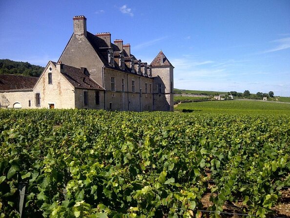 Full-day Private Burgundy Wine Route Tour from Beaune - Key points to know before booking