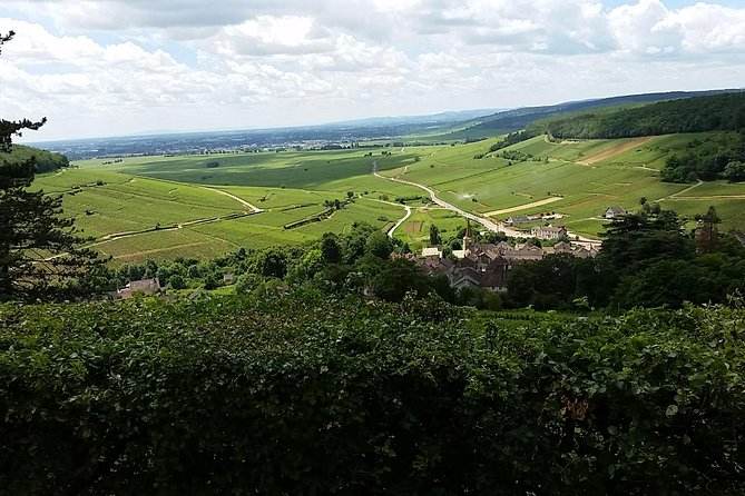 Full-day Private Burgundy Wine Route Tour from Beaune - Vosne-Romanée, Aloxe-Corton, and the Haute Côte de Nuits