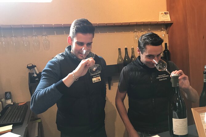 Full-day Private Burgundy Wine Route Tour from Beaune - Who will get the most from this tour