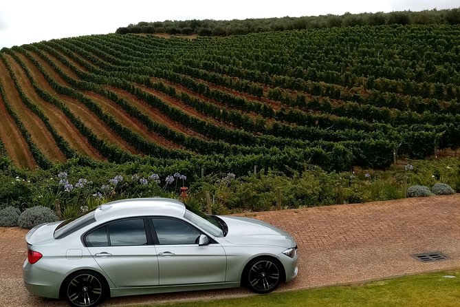 Full-Day Private Guided Wine Tasting Tour of Cape Wineries - Fairview begins with six wines and cheese