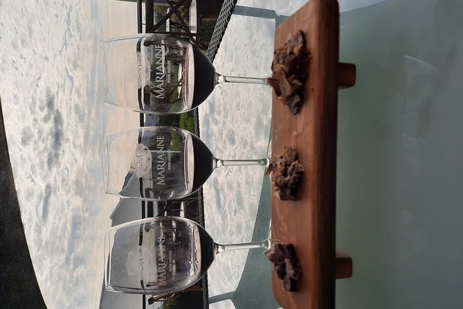 Full-Day Private Guided Wine Tasting Tour of Cape Wineries - Why the guide can make or break the day