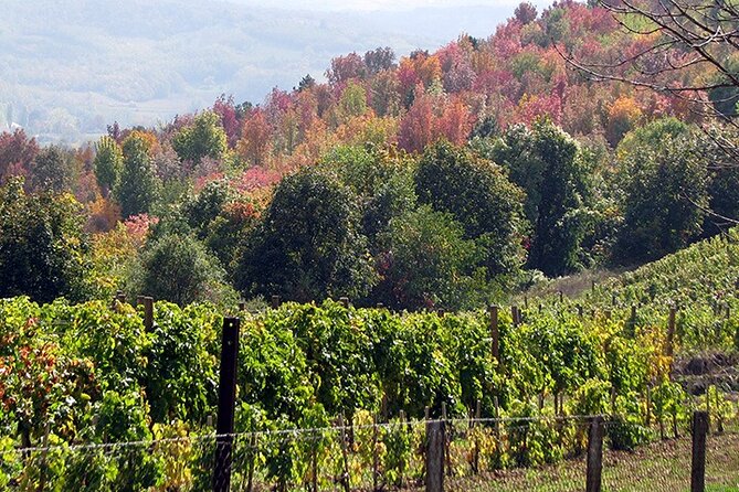 Full-Day Private Royal Heritage Tour to Oplenac With a Winery Visit - Timing, transport, and the right pace