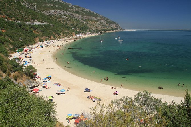 Full Day Private Tour - Arrábida Beaches and Azeitão Wine Region - Portinho da Arrábida: a quick coastal introduction