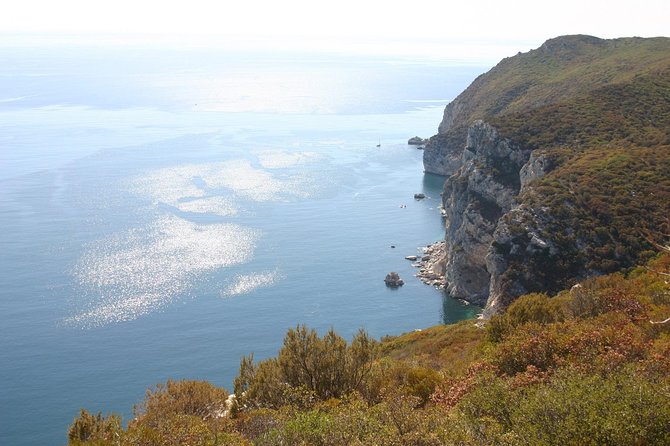 Full Day Private Tour - Arrábida Beaches and Azeitão Wine Region - Setúbal’s Livramento Market in a 30-minute visit