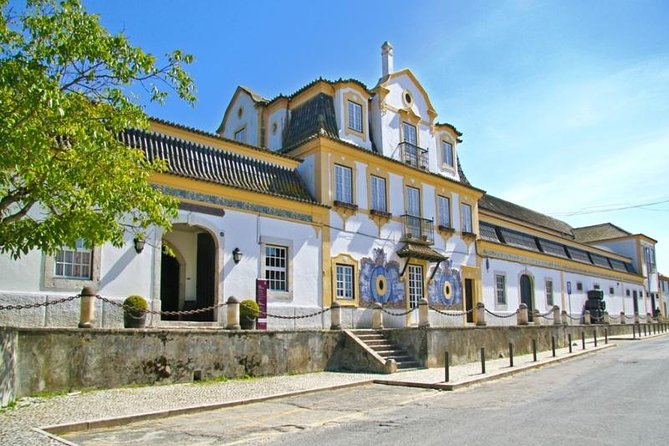 Full Day Private Tour - Arrábida Beaches and Azeitão Wine Region - Azeitão tiles: a hands-on cultural stop