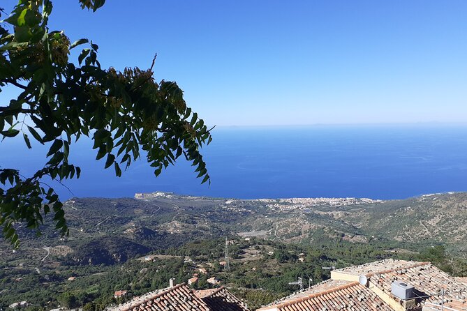 Full Day Private Tour in Medieval Villages and Vineyard in Cefalù - The optional vineyard lunch