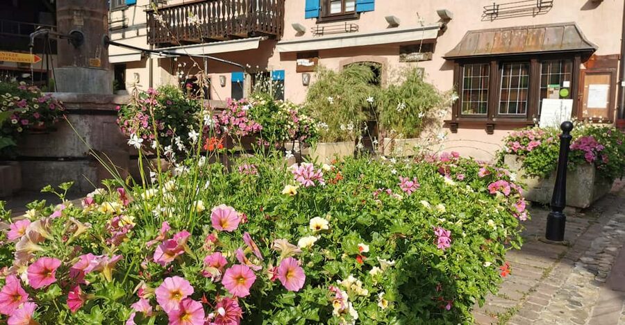 Full Day Safari Tour Villages & Vineyards Wine tasting - Kaysersberg: the main village visit
