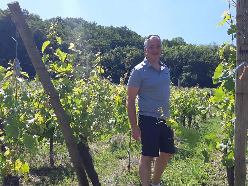 Full Day Safari Tour Villages & Vineyards Wine tasting - Turckheim and the village-to-vineyard connection