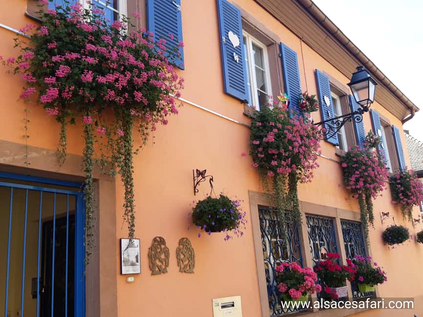 Full Day Safari Tour Villages & Vineyards Wine tasting - What the small group changes
