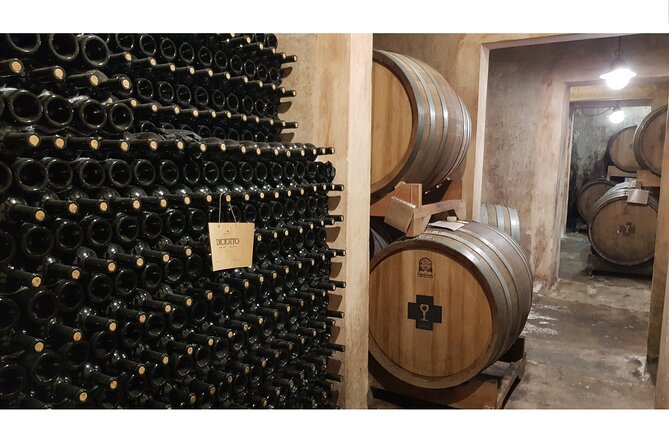 Full Day Tour to Gallipoli, Galatina, Coast, Beaches and Winery - Why this private Lecce day trip works