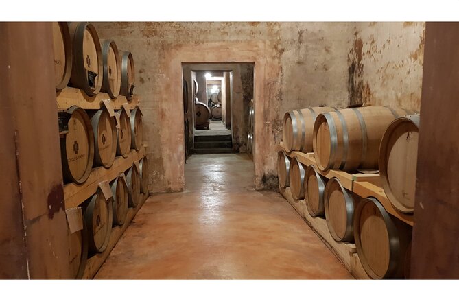 Full Day Tour to Gallipoli, Galatina, Coast, Beaches and Winery - Gallipoli’s island old town