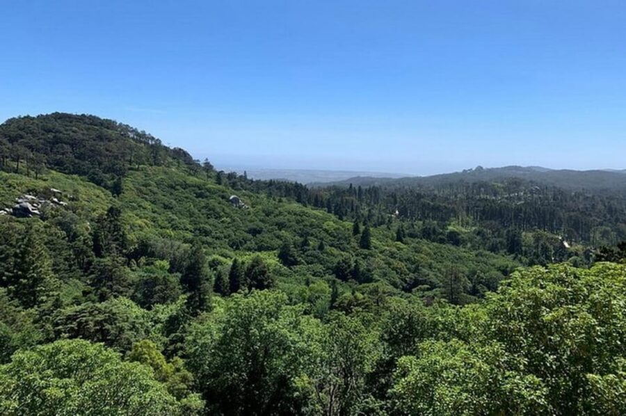 Full-day tour to Sintra with a visit to Pena Palace and Quinta da Regaleira - Sintra-Cascais Natural Park in 30 minutes