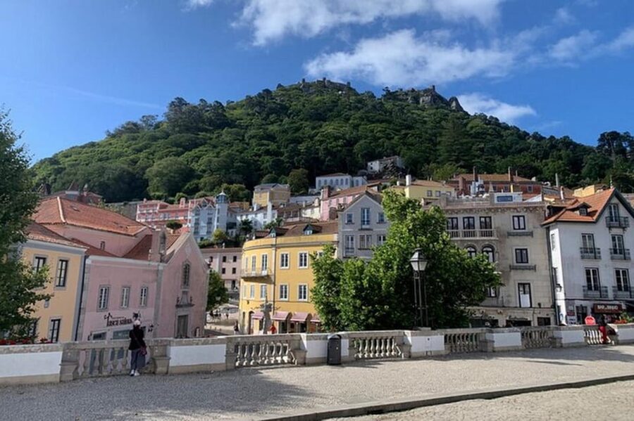 Full-day tour to Sintra with a visit to Pena Palace and Quinta da Regaleira - Transport, timing, and the private-tour advantage