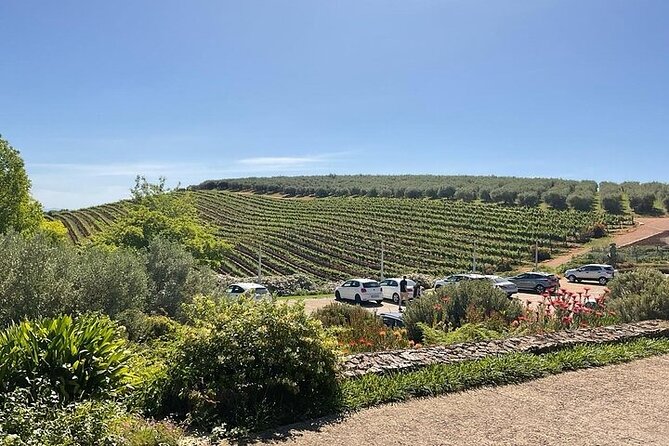 Full Day Tour to Wine Estates Stellenbosch, Franschhoek and Paarl - Why this Cape Winelands route works