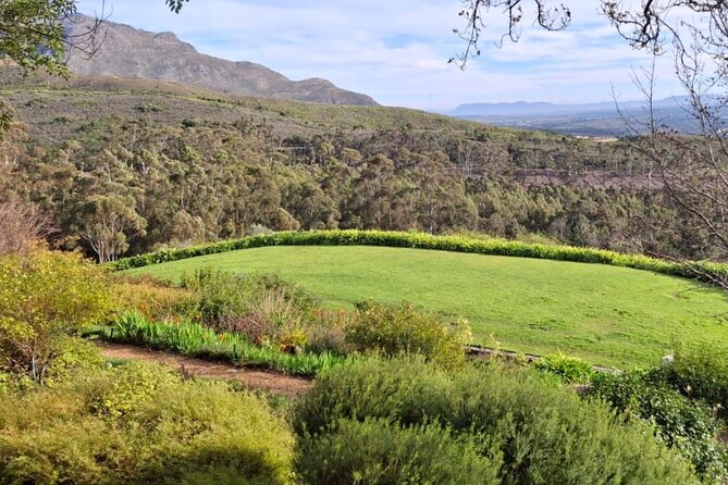 Full Day Tour to Wine Estates Stellenbosch, Franschhoek and Paarl - Franschhoek and the appeal of a second valley
