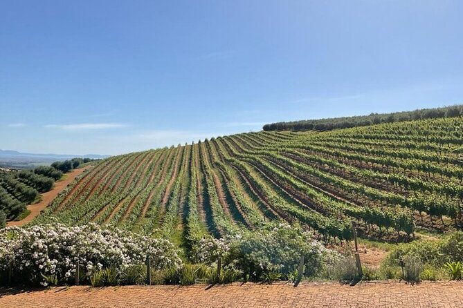 Full Day Tour to Wine Estates Stellenbosch, Franschhoek and Paarl - Food pairings make the tastings easier