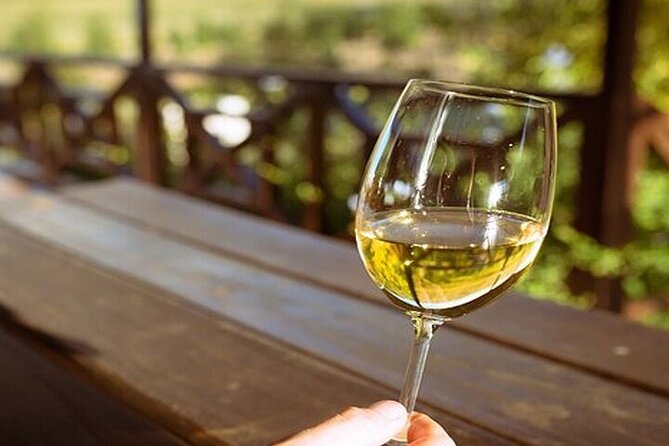 Full Day Tour to Wine Estates Stellenbosch, Franschhoek and Paarl - Guide quality and the feel of the day
