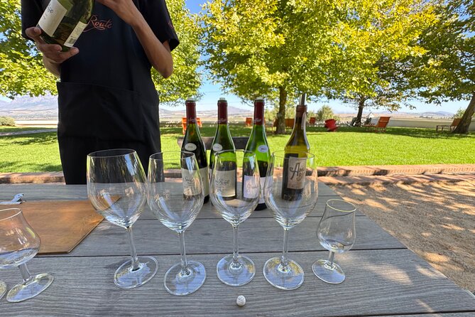 Full Day Tour to Wine Estates Stellenbosch, Franschhoek and Paarl - Stellenbosch: a walking tour before the first tasting