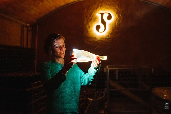 Full-Day Trip Barcelona to Montserrat Monastery & Cava Winery - What the private minibus adds