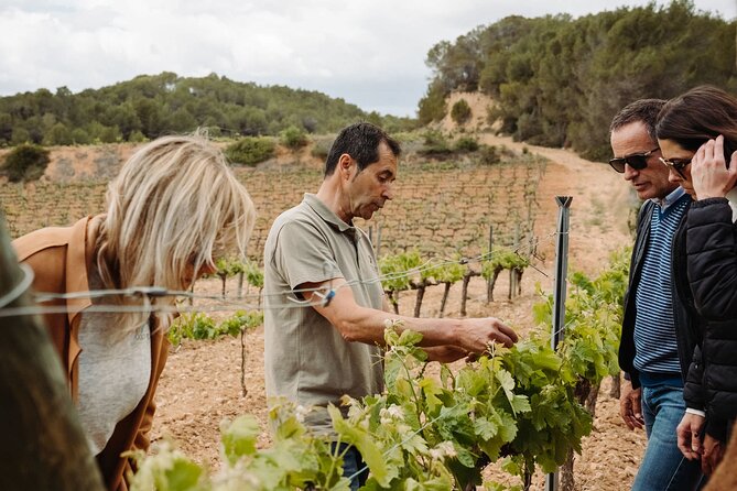 Full-Day Trip Barcelona to Montserrat Monastery & Cava Winery - Who will enjoy this most