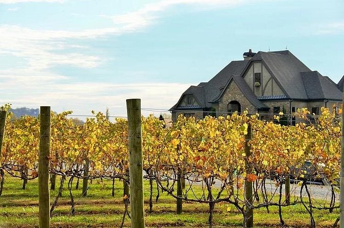 Full-Day Wine Country Wine Tastings From Atlanta - Stop three: Ott Farms and Vineyard