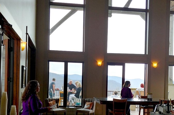 Full-Day Wine Country Wine Tastings From Atlanta - The guide can shape the whole day
