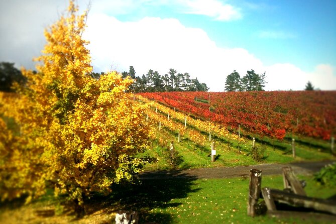 Full-Day Wine Tasting Tour in Auckland with 3-Course Vineyard Lunch - Westbrook Winery in the Ararimu Valley