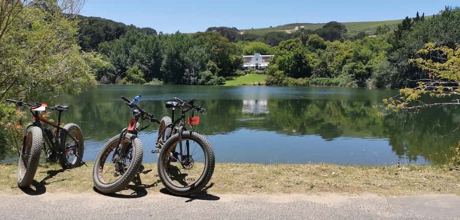 Full-Day Winelands E-Bike Tour with Wine Tasting & Lunch - Lunch and the cellar visit