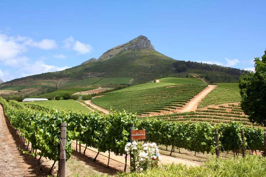 Full-Day Winelands E-Bike Tour with Wine Tasting & Lunch - Getting comfortable on the e-bike