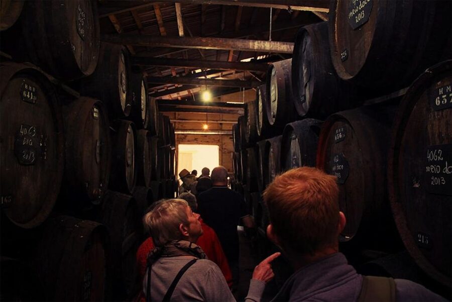 Funchal: H.M. Borges Winery Guided Tour with Wine Tasting - H.M. Borges tells Madeira wine’s story from the inside