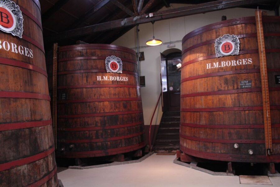 Funchal: H.M. Borges Winery Guided Tour with Wine Tasting - The tasting room and Max Römer’s paintings