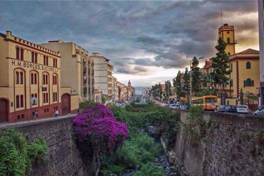 Funchal: H.M. Borges Winery Guided Tour with Wine Tasting - What the $17 price really buys you