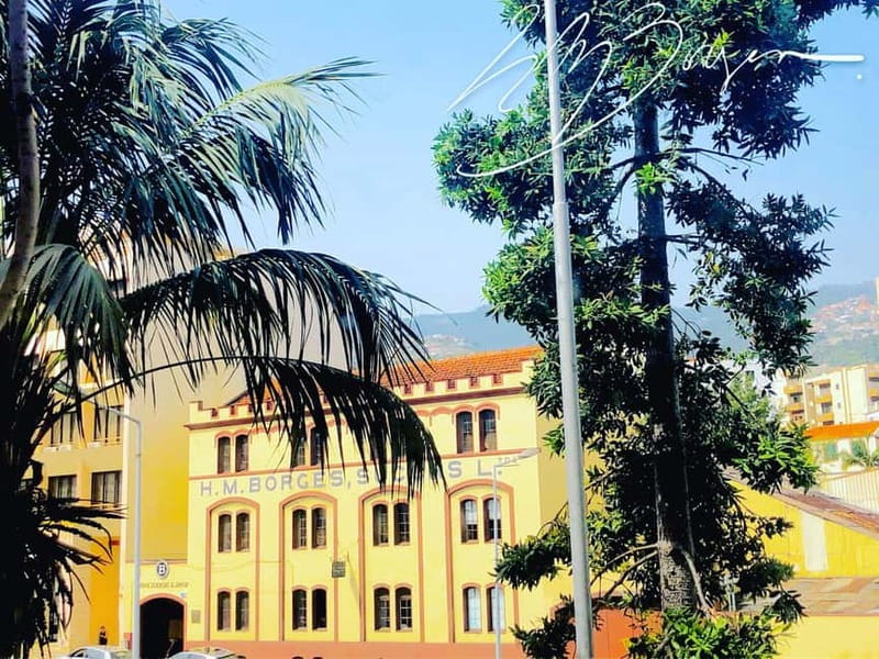 Funchal: H.M. Borges Winery Private Tour and Wine Tasting - Key points to know before booking