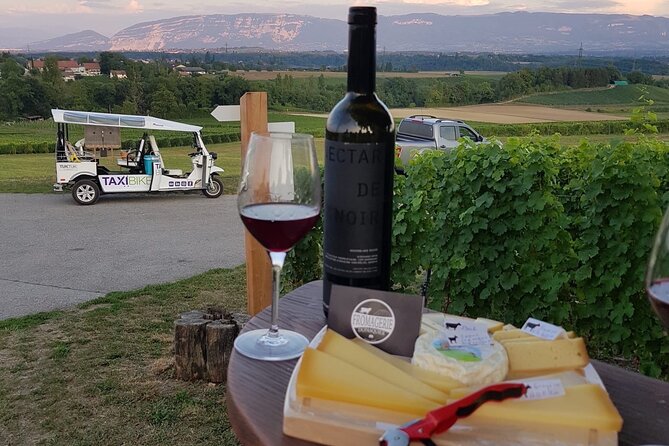 Geneva Panoramic & Tasting Vineyards Tour in an Tuk Tuk - The guide can make or break the day