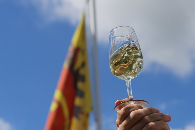 Geneva Panoramic & Tasting Vineyards Tour in an Tuk Tuk - Practical details that matter