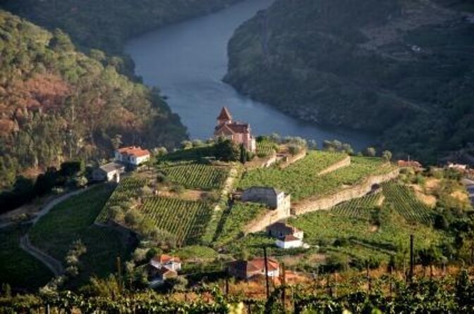 Genuine Douro Valley Tour: Visit 2 Wineries, Lunch & River Cruise - Key points to know before booking