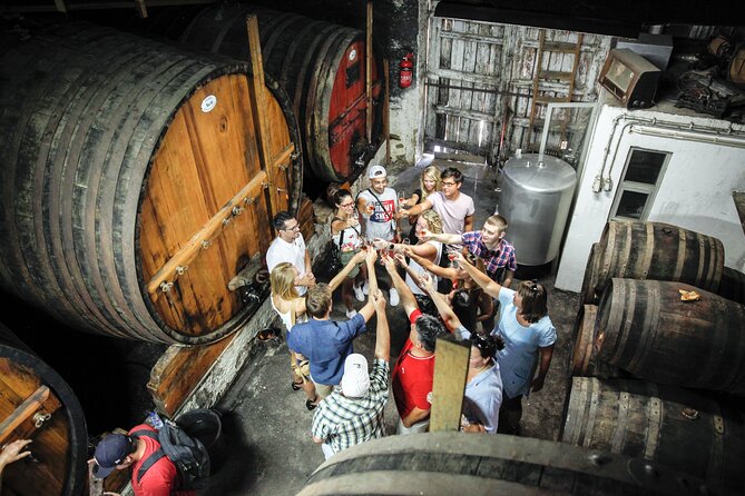 Genuine Douro Valley Tour: Visit 2 Wineries, Lunch & River Cruise - The N222 and the Douro scenery