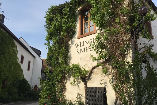 Get Pfalzed - wine tour to unique wine region to taste Red wines - Key points to know before booking