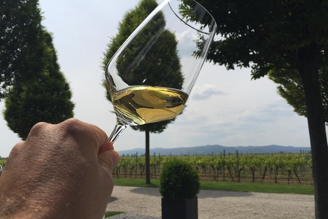 Get Pfalzed - wine tour to unique wine region to taste Red wines - A few practical cautions