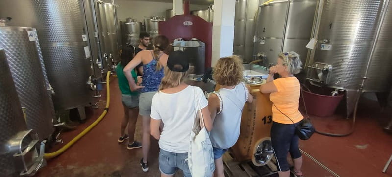 Gioia del Colle: Winery with Primitivo Tasting - A small group makes the conversation better