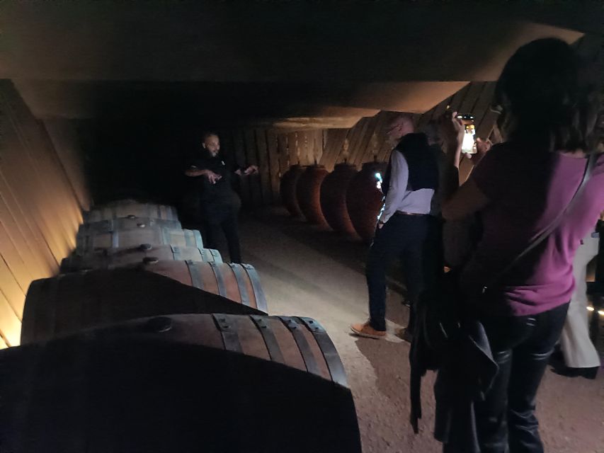 Girona: Local Wineries Tour with Breakfast and Wine Tasting - Terra Remota: modern wine and a different atmosphere