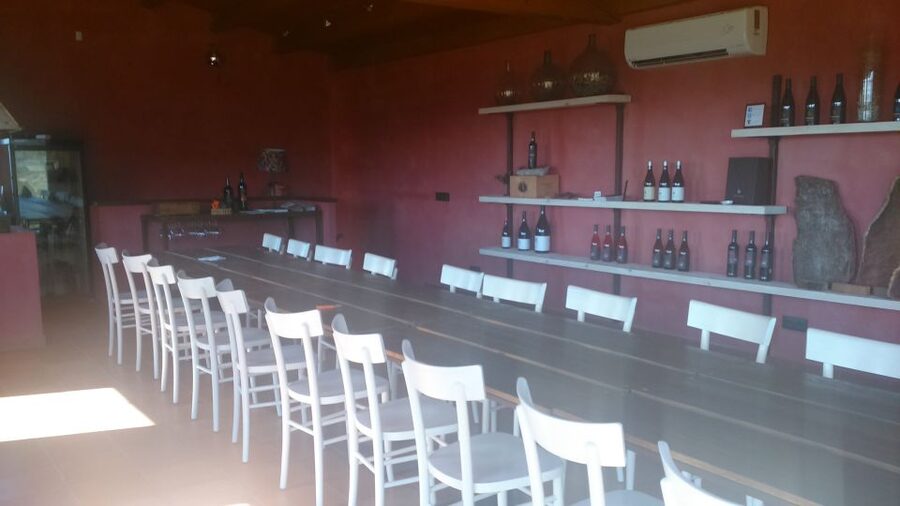 Girona: Local Wineries Tour with Breakfast and Wine Tasting - Is $175 a fair price?