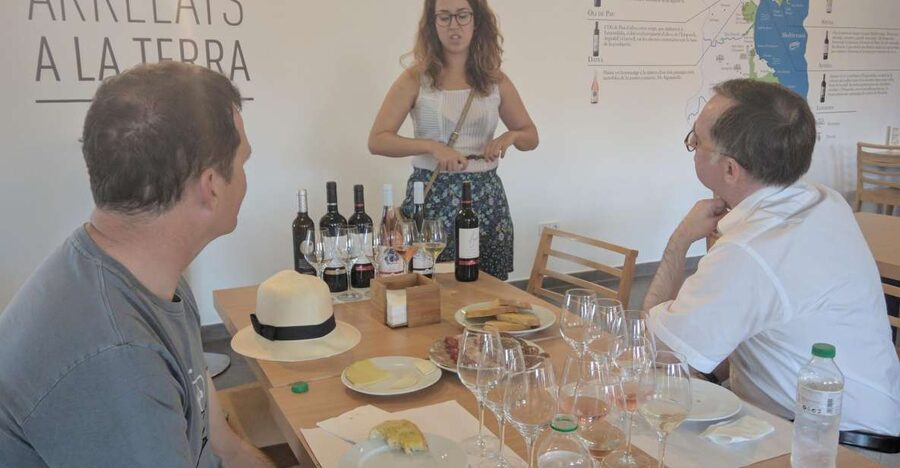Girona: Local Wineries Tour with Breakfast and Wine Tasting - Practical details that can shape your day