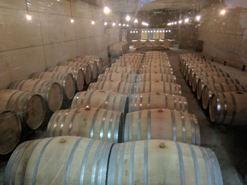 Girona: Local Wineries Tour with Breakfast and Wine Tasting - Should you book this Girona wine tour?