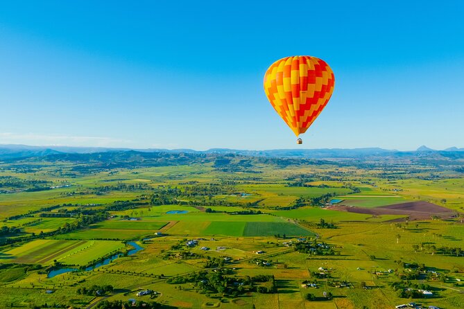 Gold Coast Hot Air Balloon + Winery Breakfast + Return Transfers - Breakfast at O’Reilly’s Canungra Valley Vineyards