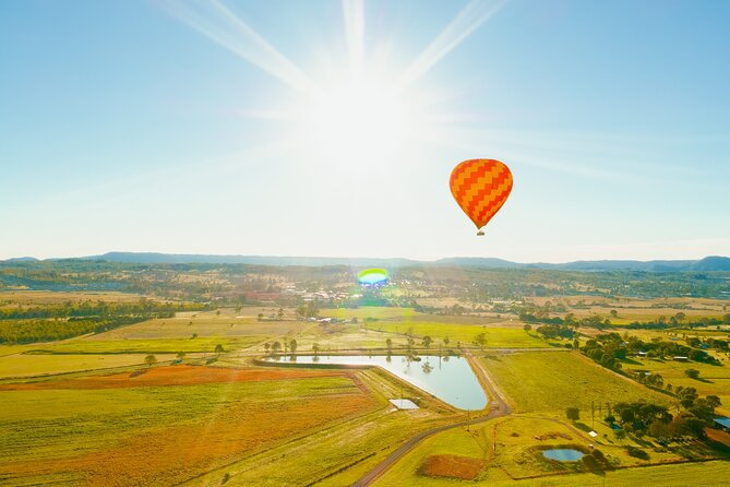Gold Coast Hot Air Balloon + Winery Breakfast + Return Transfers - The alpaca visit and the value of the full morning
